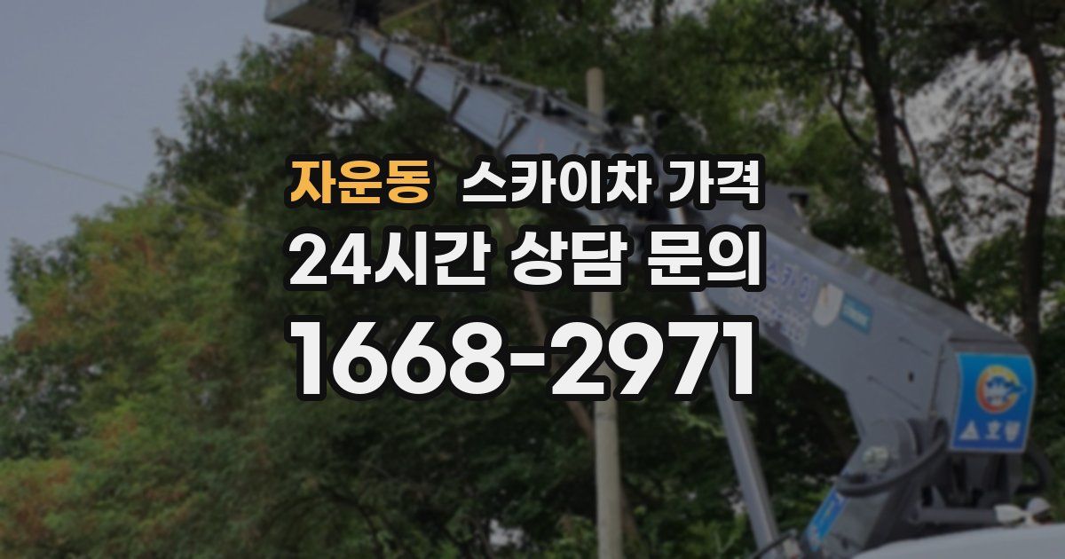 자운동 스카이차 가격