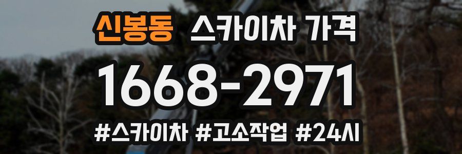 신봉동 스카이차 가격