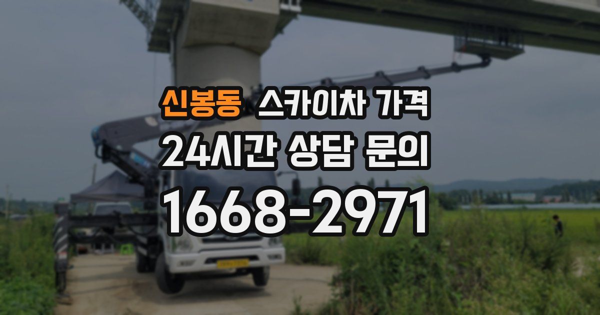 신봉동 스카이차 가격