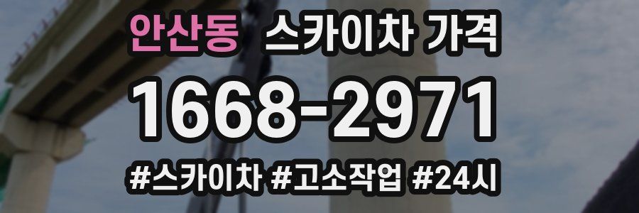 안산동 스카이차 가격