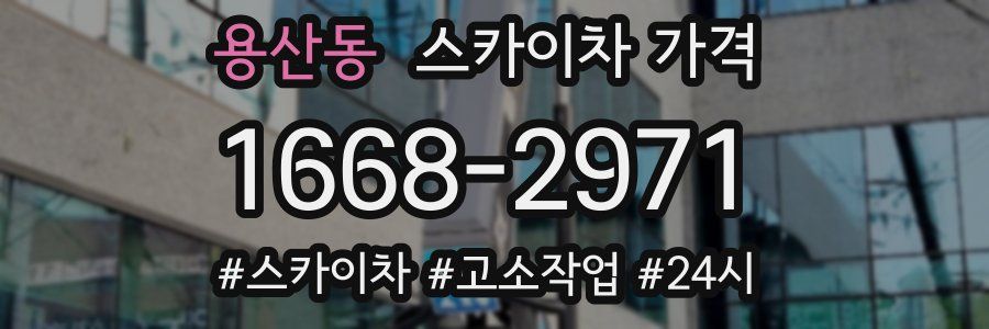 용산동 스카이차 가격