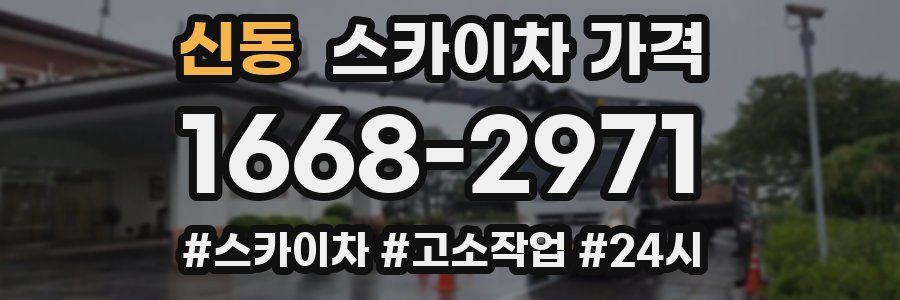 신동 스카이차 가격