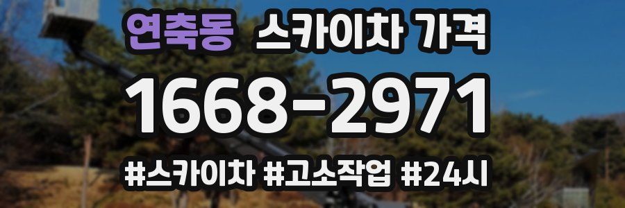 연축동 스카이차 가격