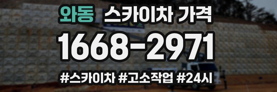 와동 스카이차 가격