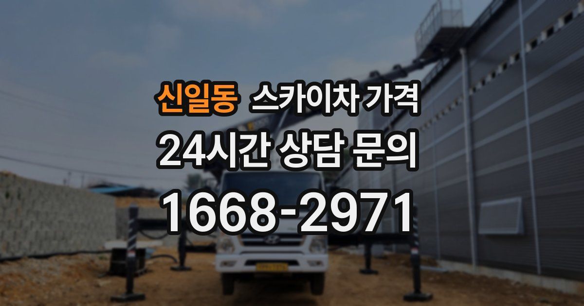 신일동 스카이차 가격