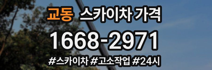 교동 스카이차 가격