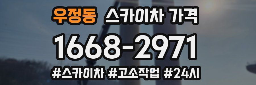 우정동 스카이차 가격