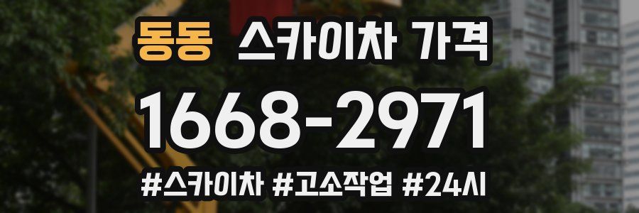 동동 스카이차 가격