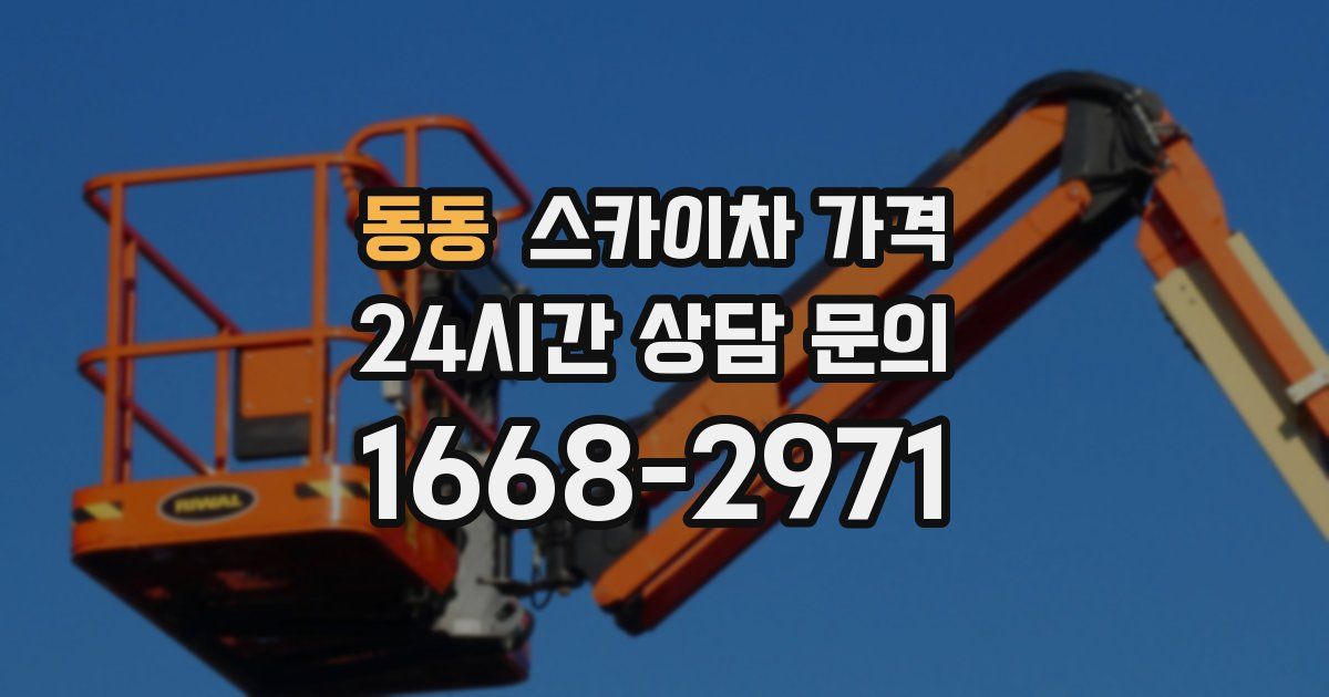 동동 스카이차 가격