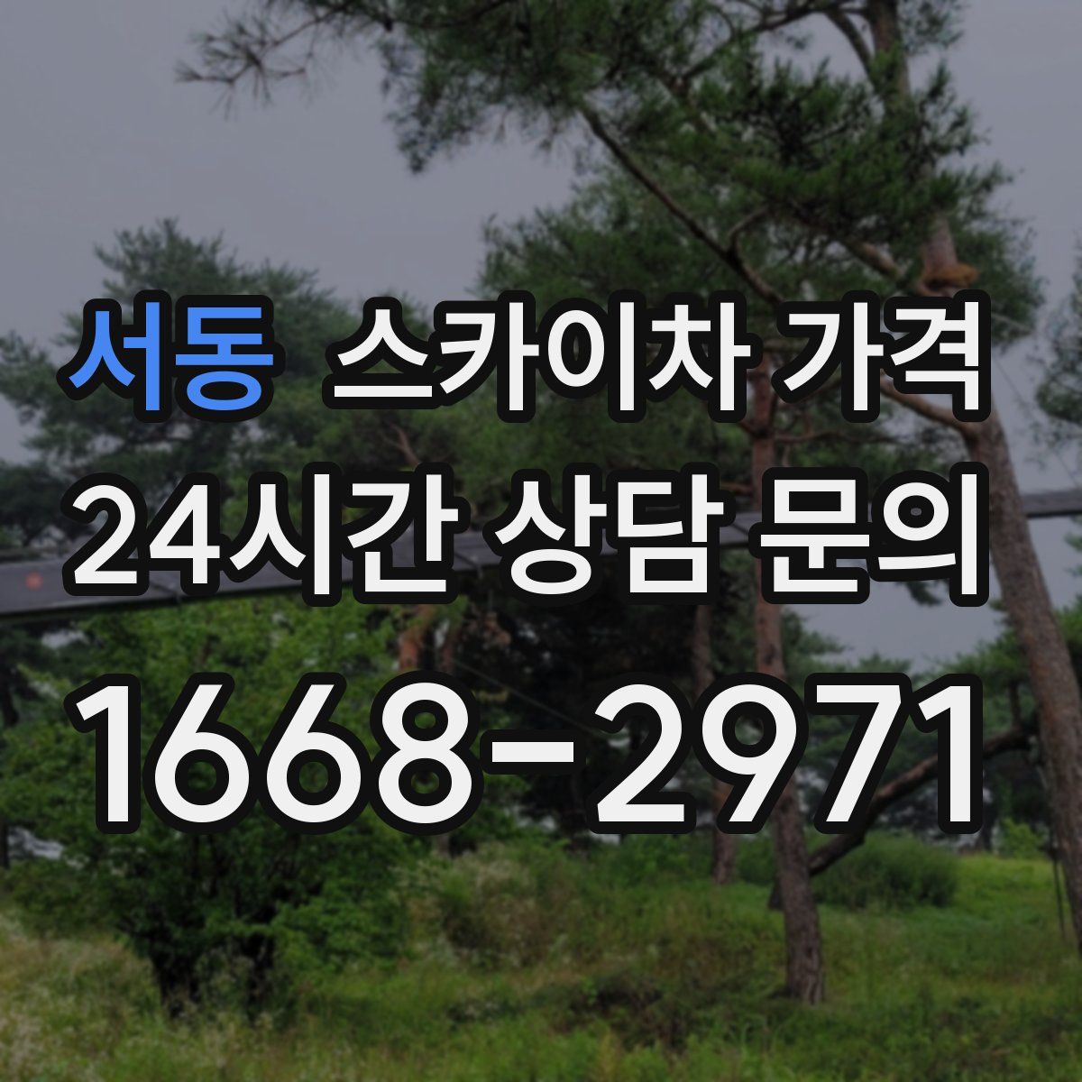 서동 스카이차 가격