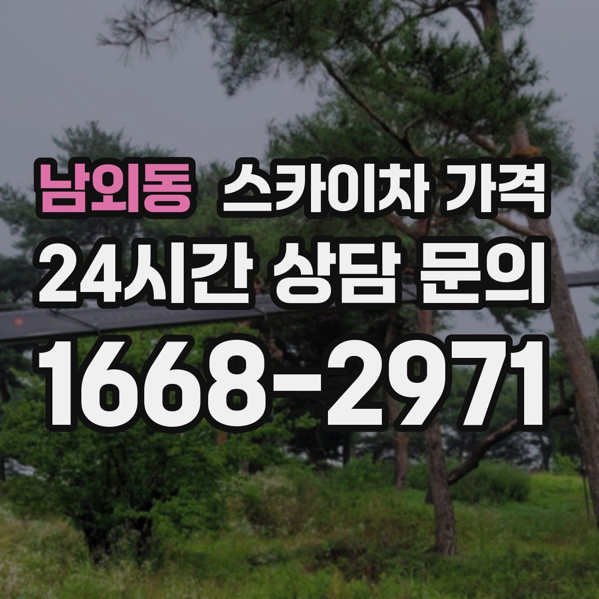 남외동 스카이차 가격