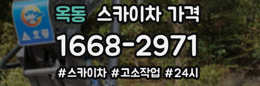 옥동 스카이차 가격