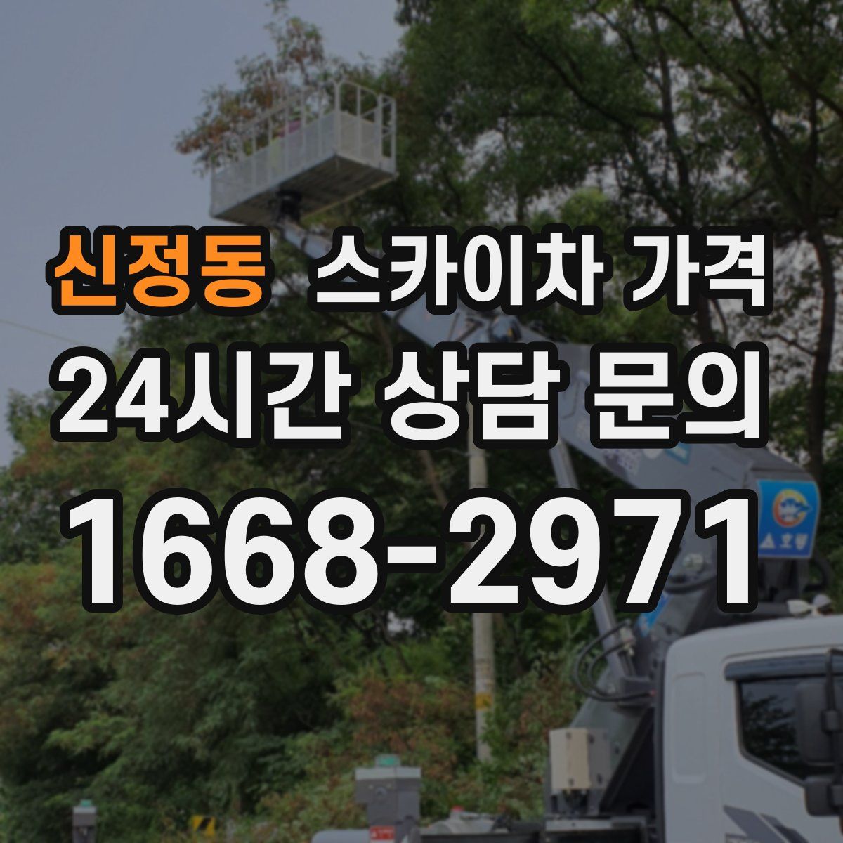 신정동 스카이차 가격