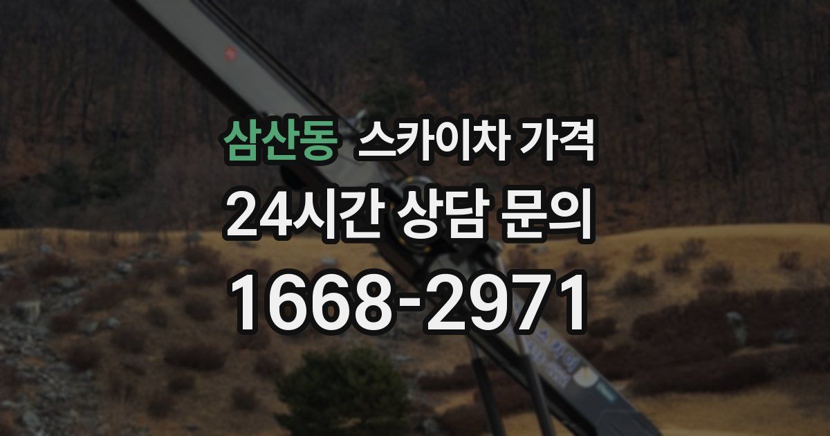 삼산동 스카이차 가격