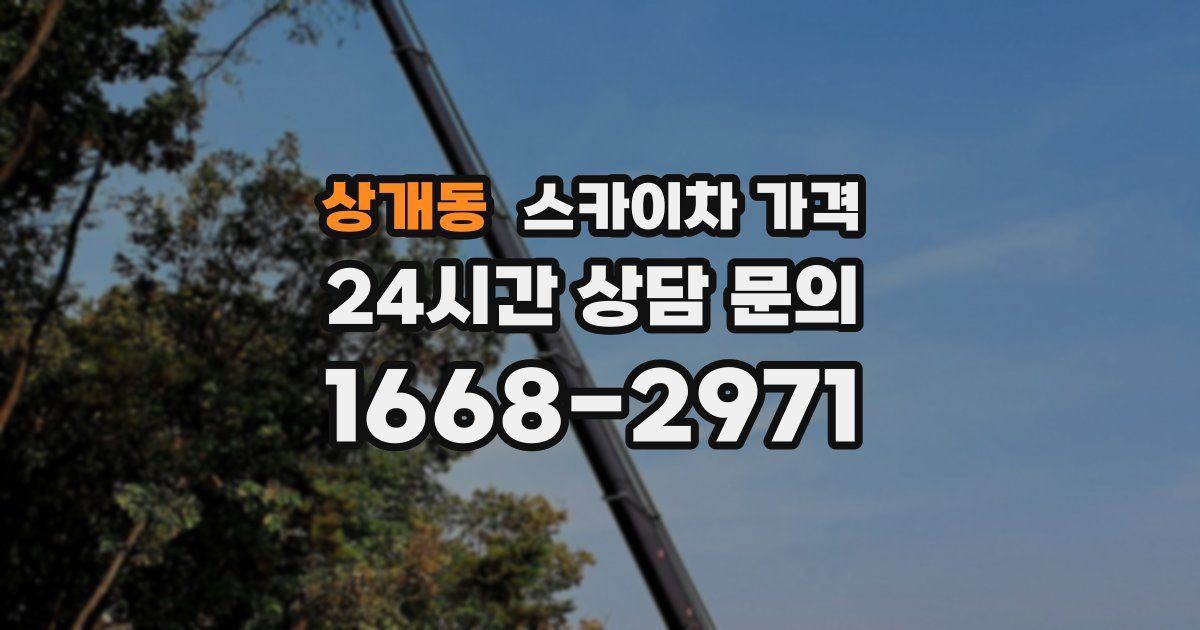 상개동 스카이차 가격