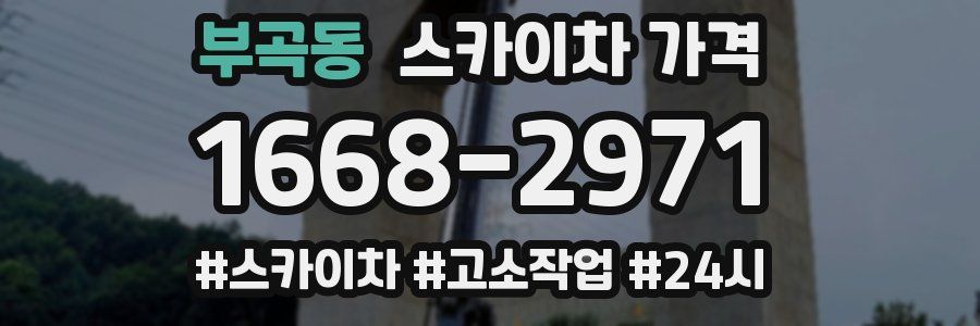 부곡동 스카이차 가격