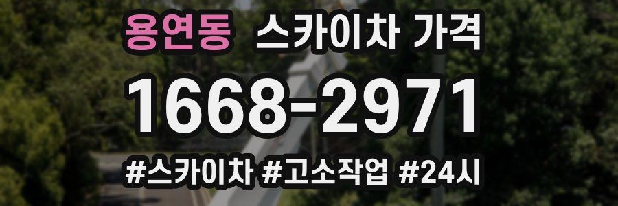 용연동 스카이차 가격