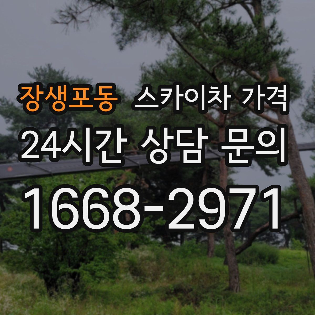 장생포동 스카이차 가격