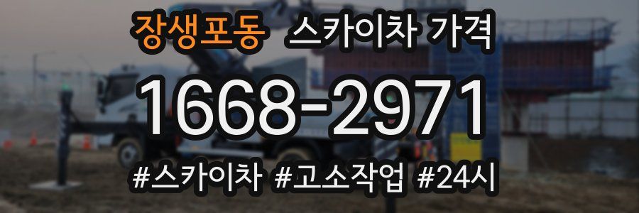 장생포동 스카이차 가격