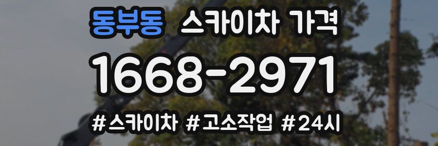 동부동 스카이차 가격