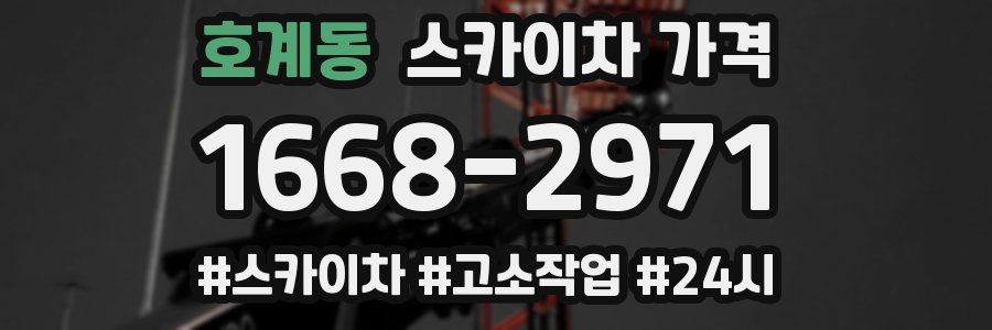 호계동 스카이차 가격