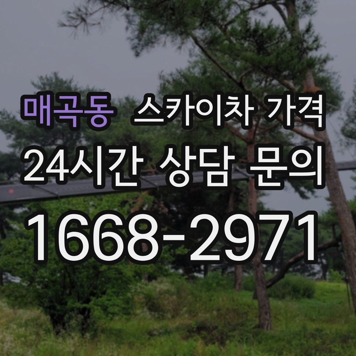 매곡동 스카이차 가격