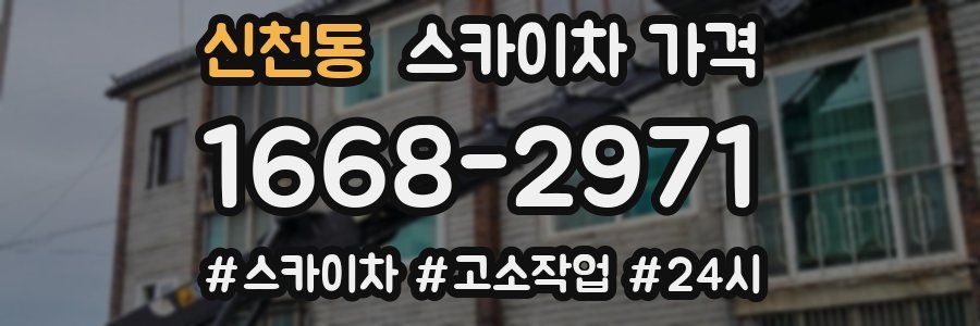 신천동 스카이차 가격