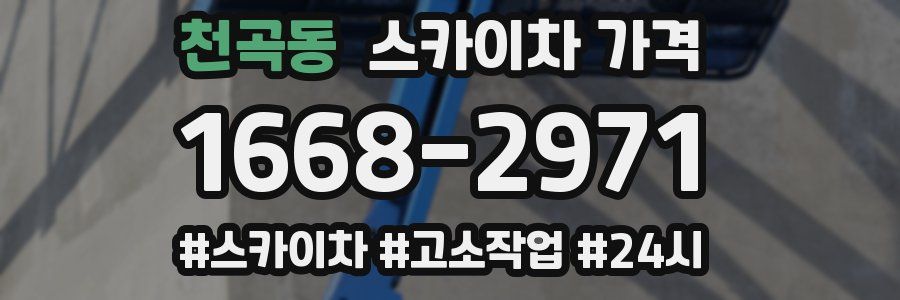 천곡동 스카이차 가격