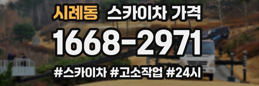 시례동 스카이차 가격