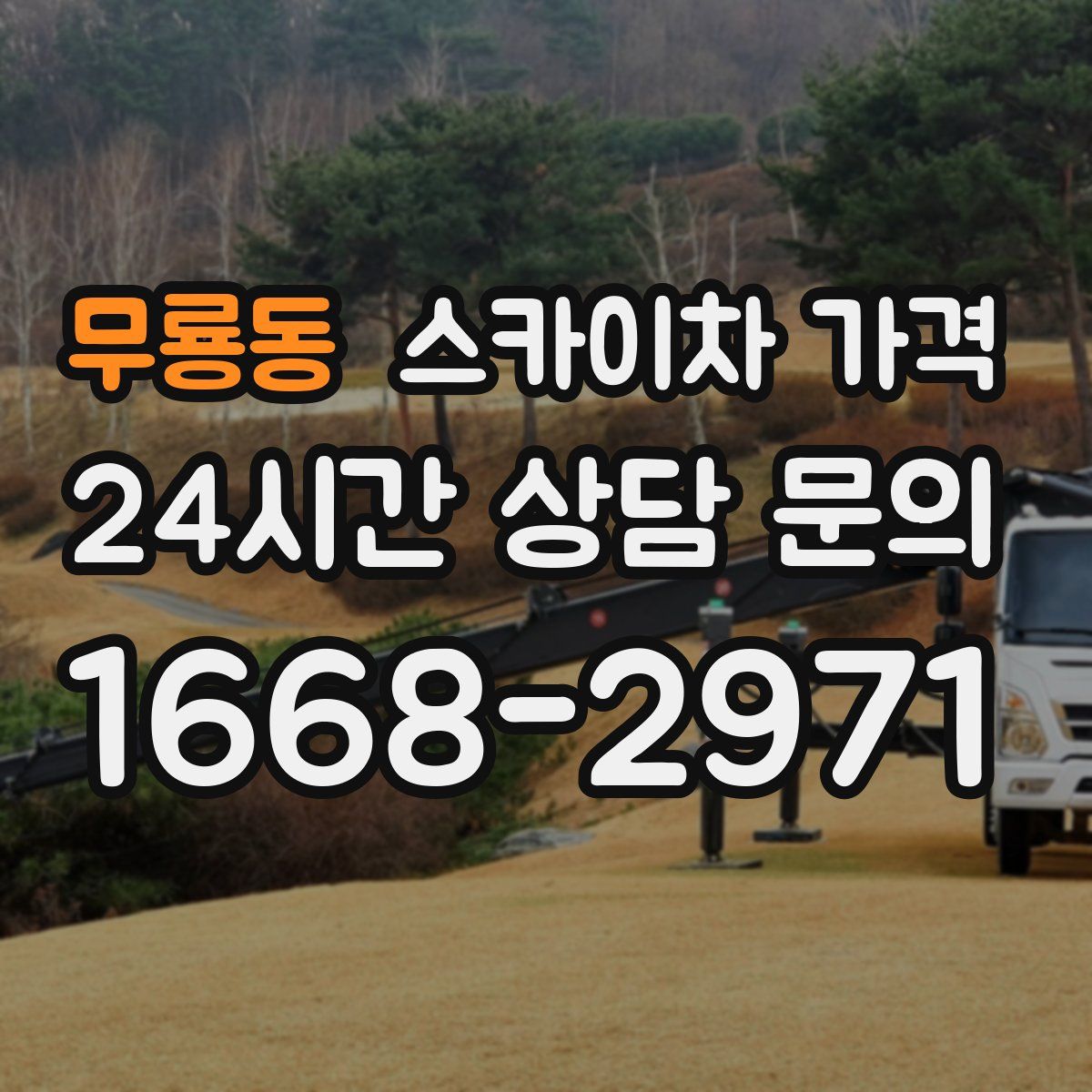 무룡동 스카이차 가격