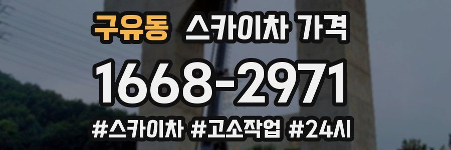 구유동 스카이차 가격