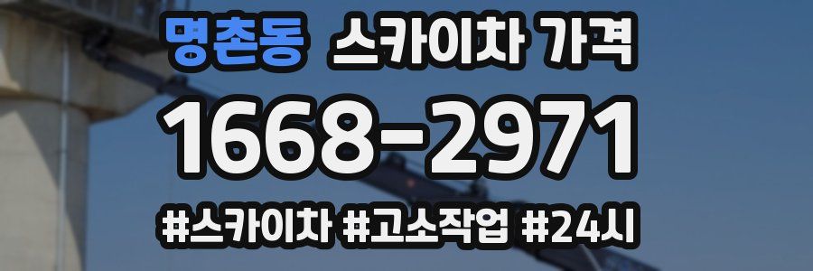 명촌동 스카이차 가격