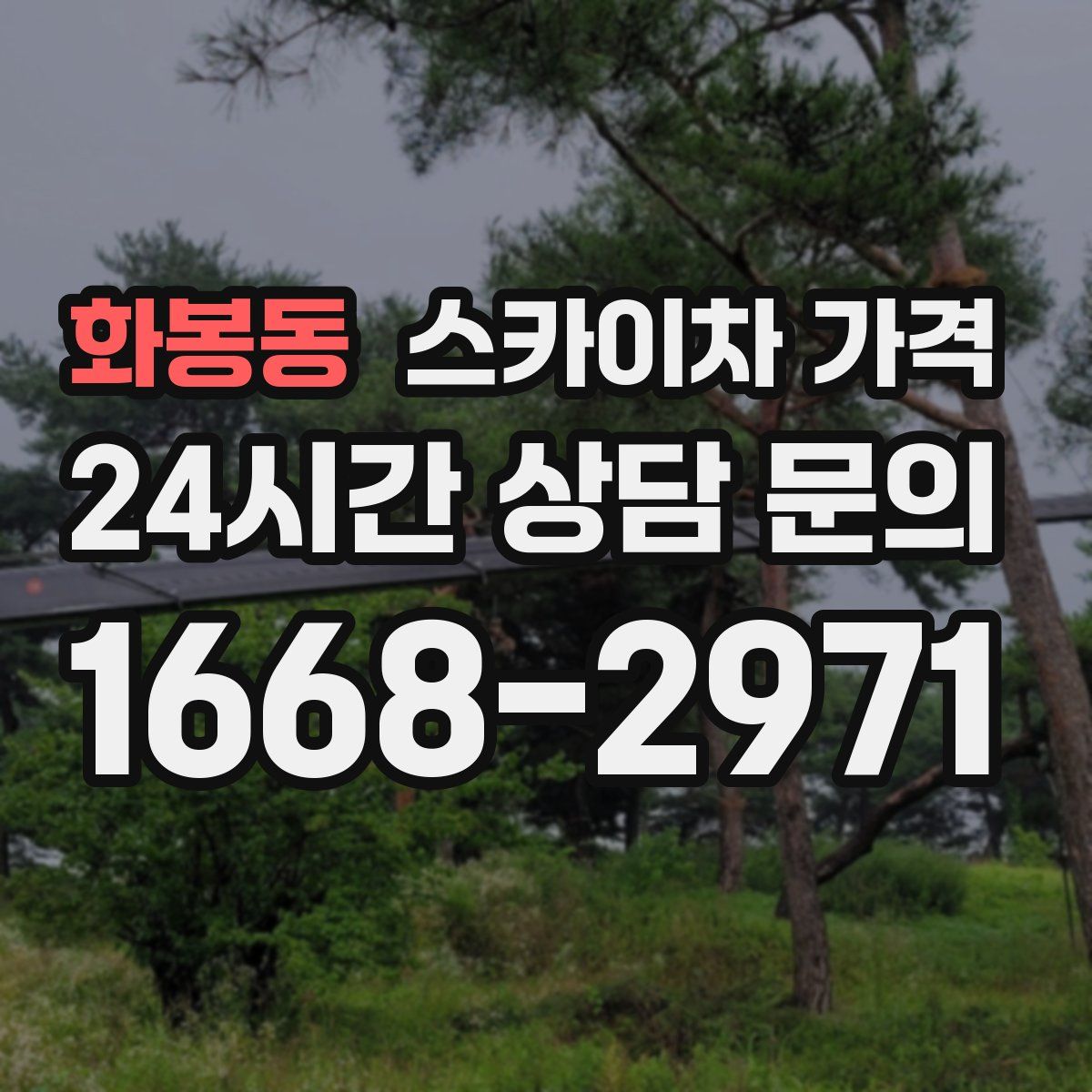 화봉동 스카이차 가격