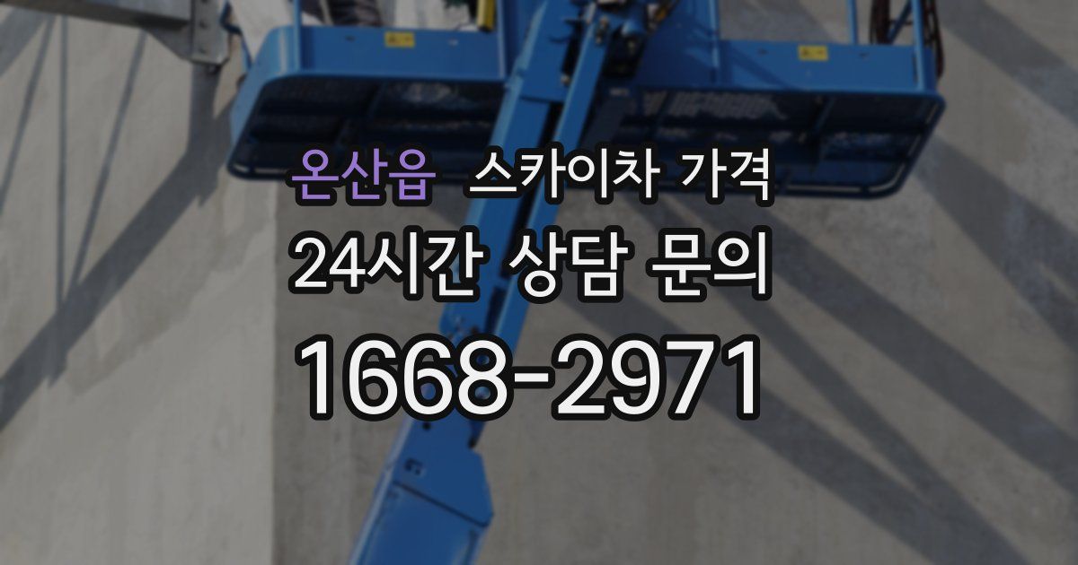 온산읍 스카이차 가격