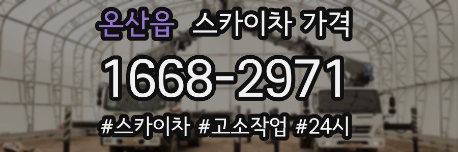 온산읍 스카이차 가격
