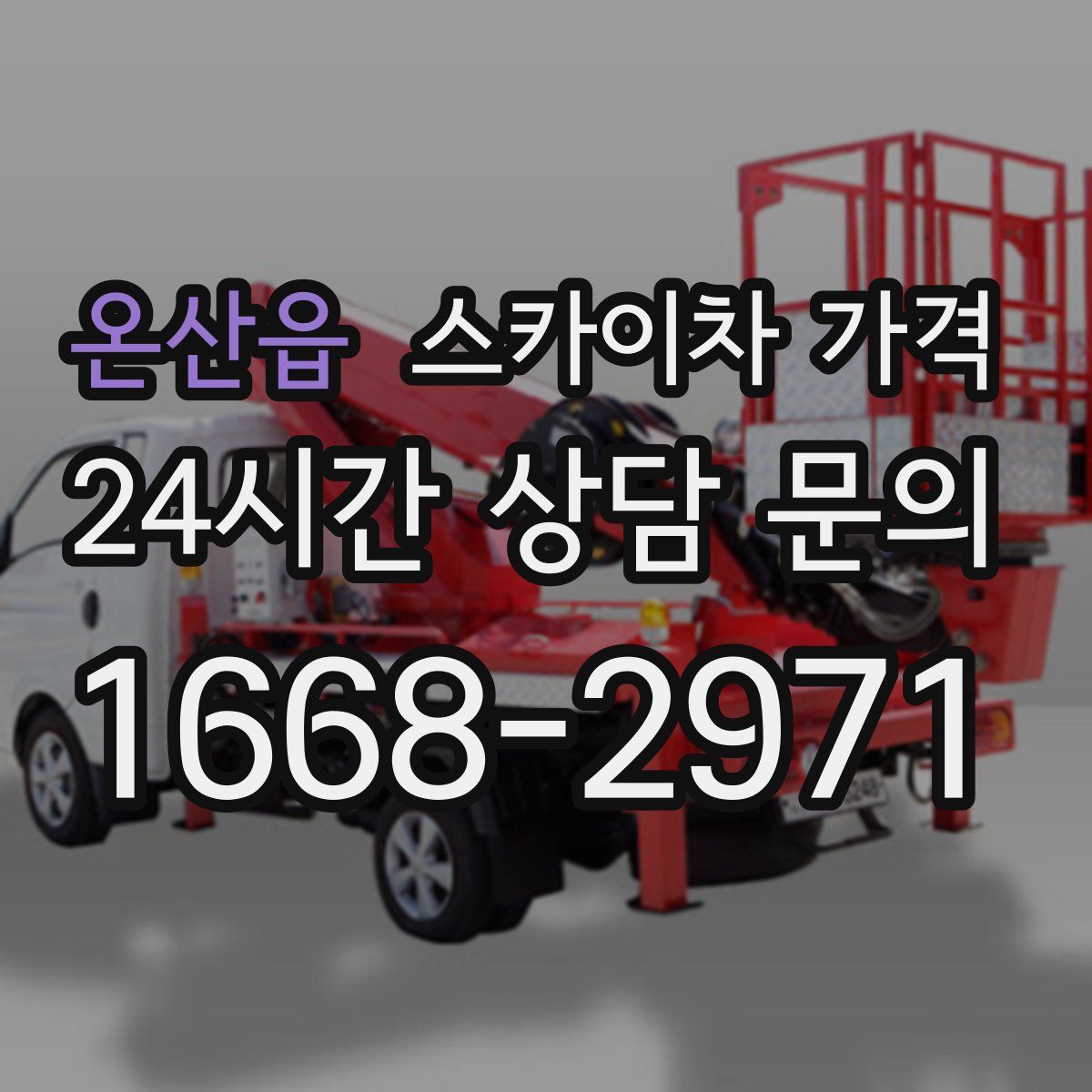 온산읍 스카이차 가격