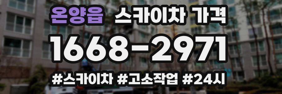 온양읍 스카이차 가격