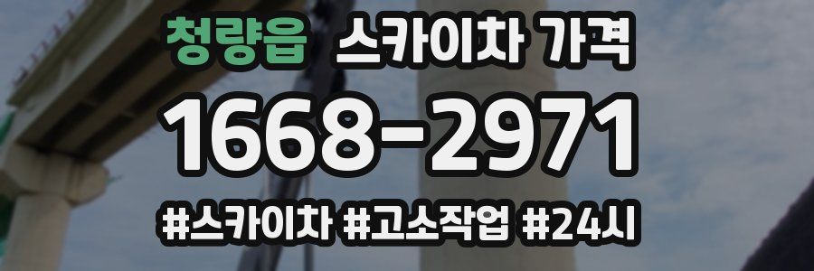 청량읍 스카이차 가격