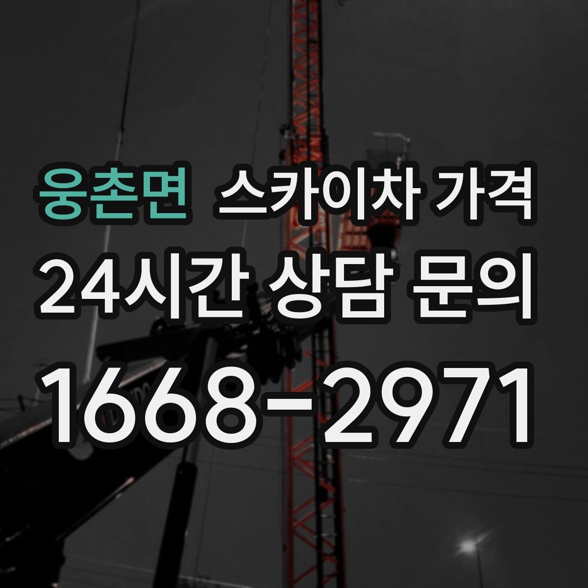 웅촌면 스카이차 가격