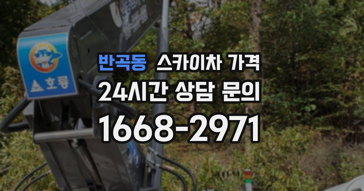 반곡동 스카이차 가격