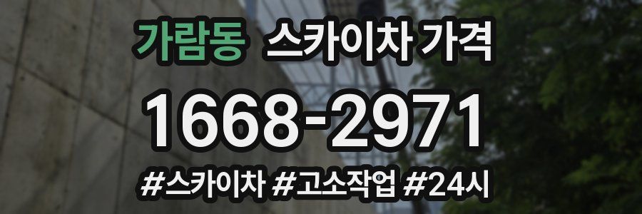 가람동 스카이차 가격