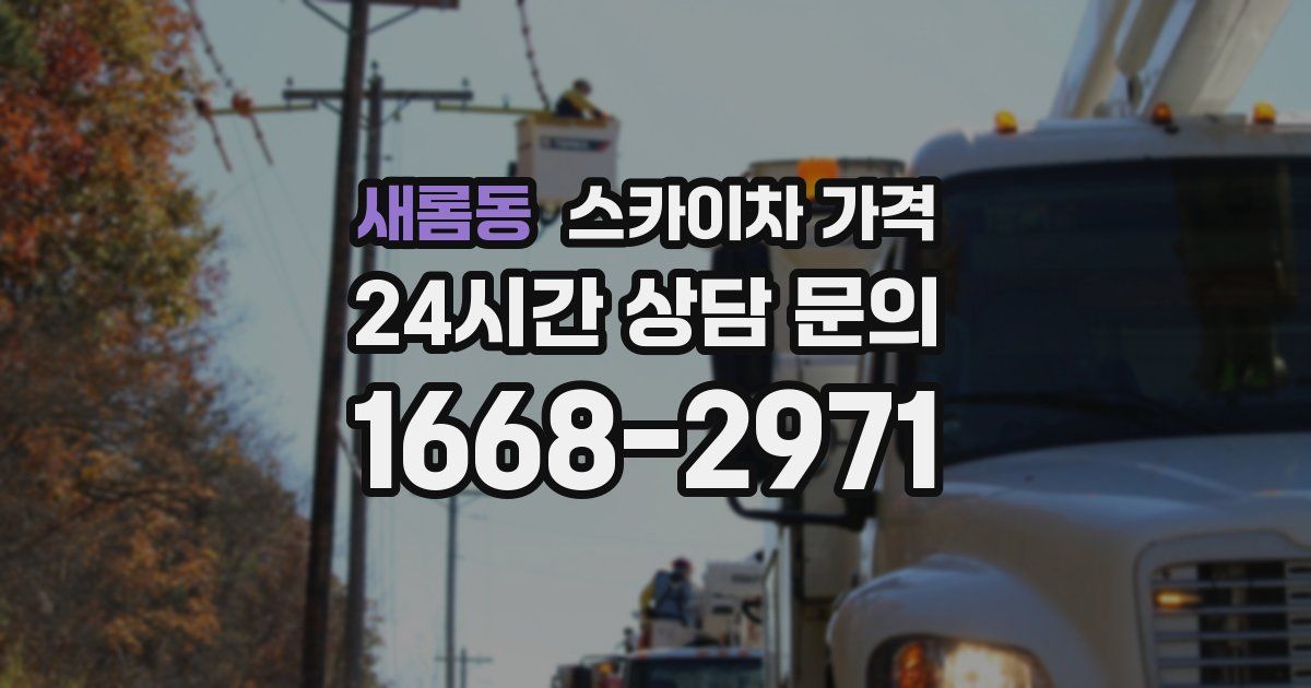 새롬동 스카이차 가격