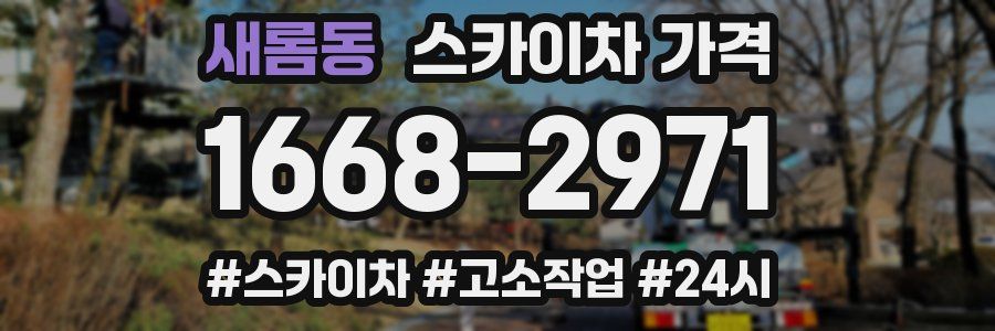 새롬동 스카이차 가격