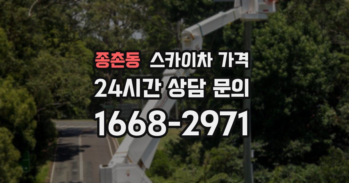 종촌동 스카이차 가격