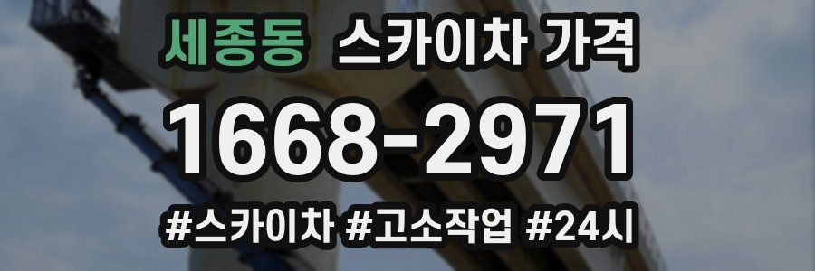 세종동 스카이차 가격