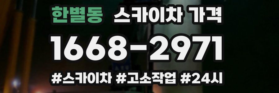 한별동 스카이차 가격