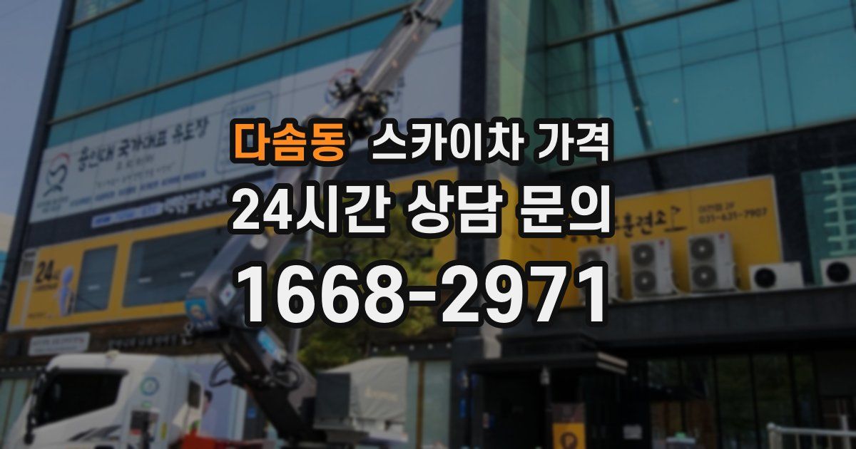 다솜동 스카이차 가격