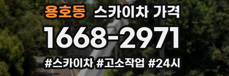 용호동 스카이차 가격