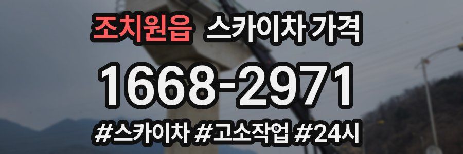 조치원읍 스카이차 가격