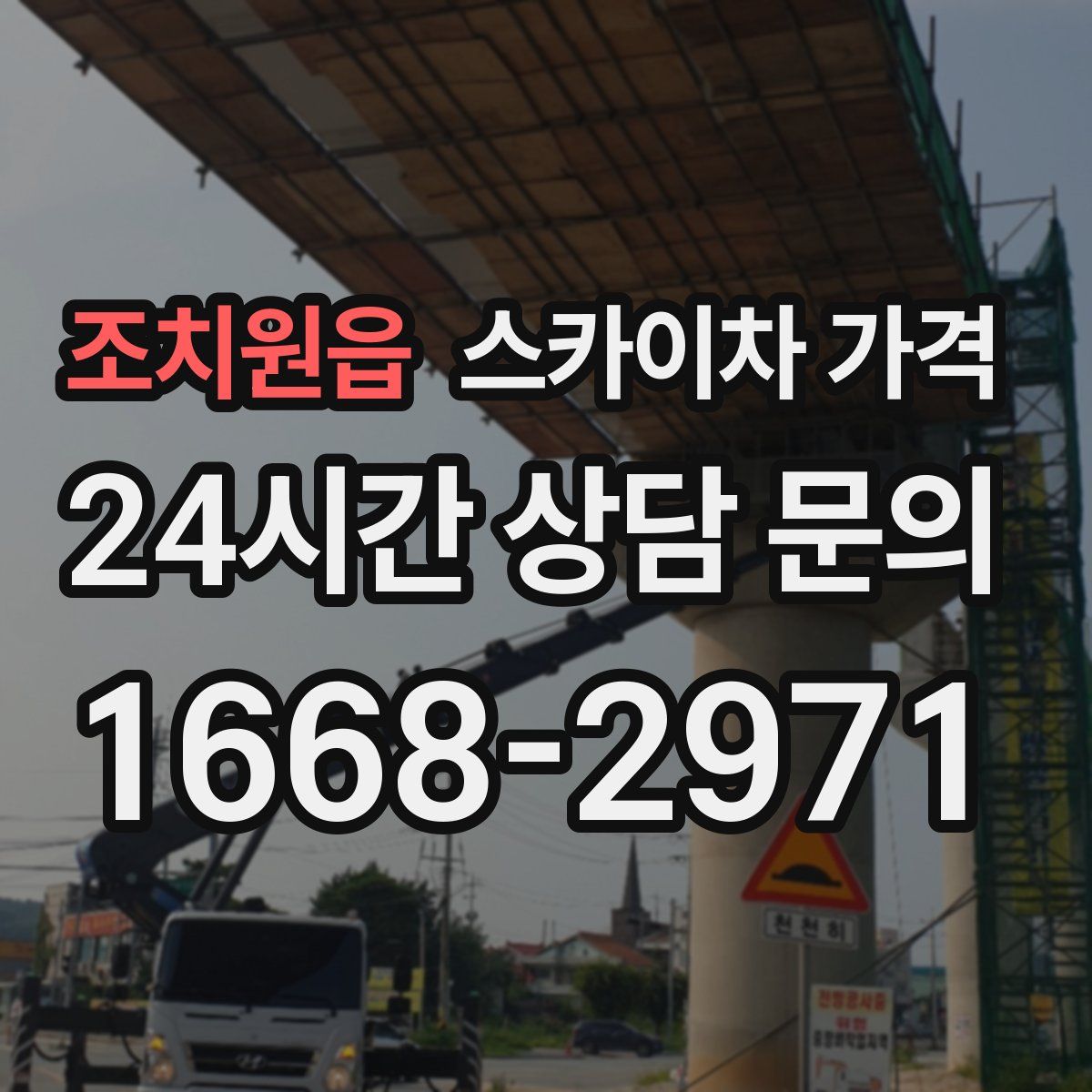 조치원읍 스카이차 가격